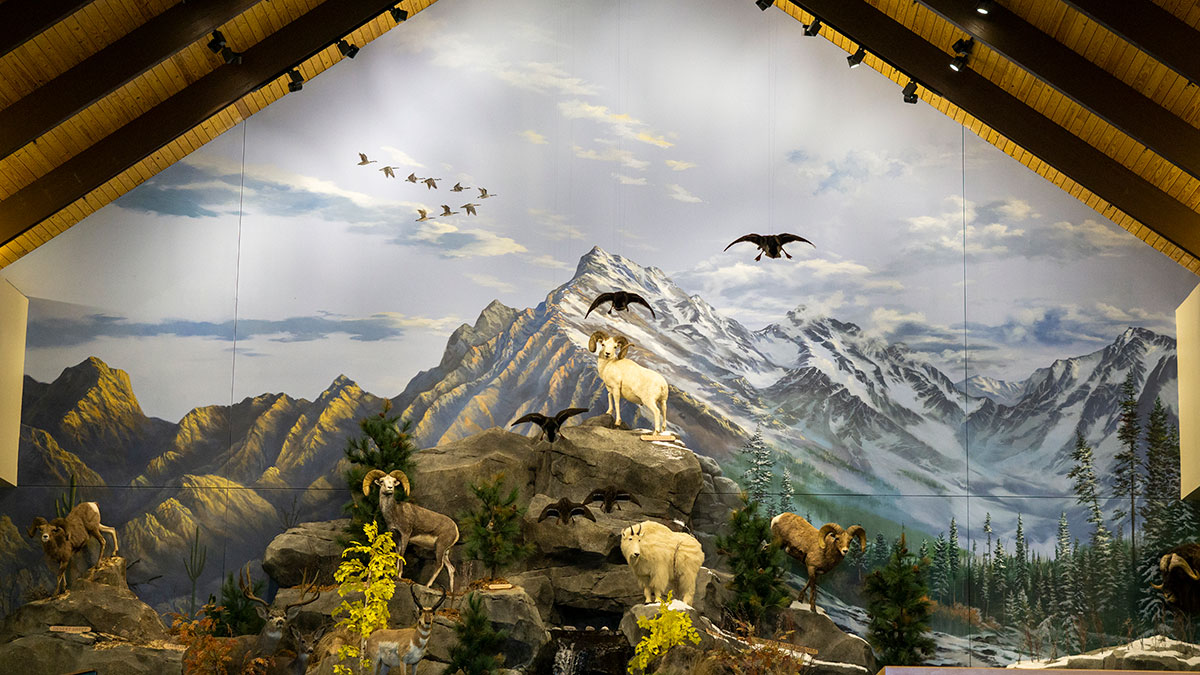 Cabela's — photo 5