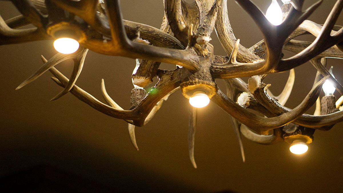Cabela's — photo 7