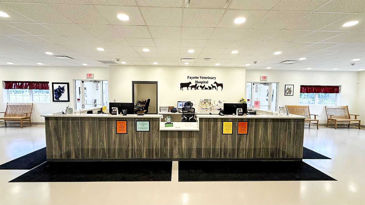 Fayette County Veterinary Hospital — photo 2